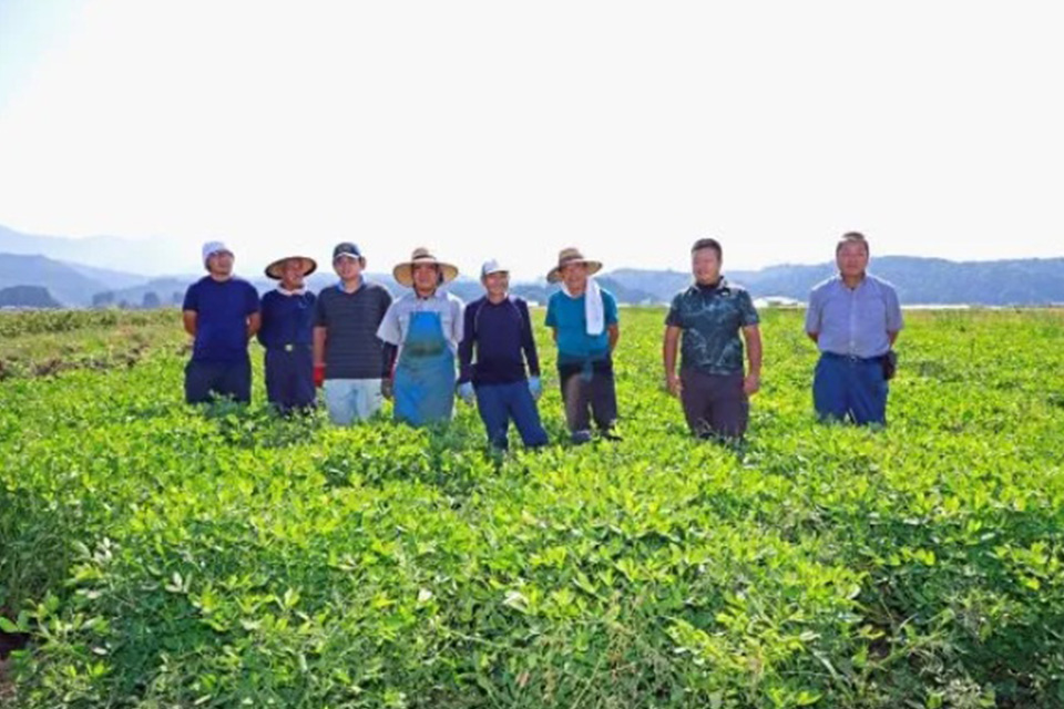 堀江建材株式会社