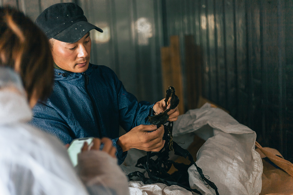 合同会社ピロロ企画